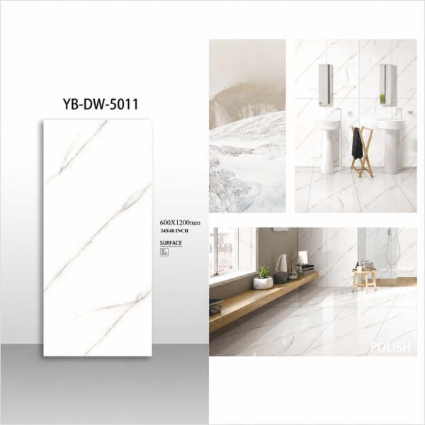 bathroom floor wall tiles Pakistan