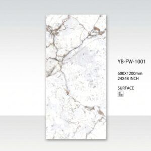 Floor and wall tiles Pakistan YB-FW-1001 premium YUBATH design